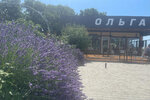 kafe3